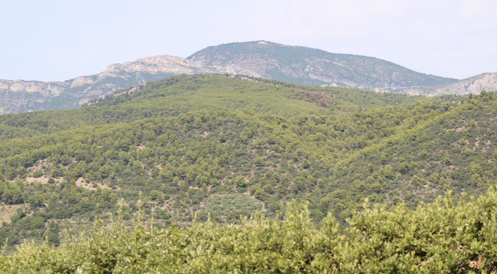 Le Pas Du Ventoux Villa Mollans-sur-Ouvèze Dış mekan fotoğraf