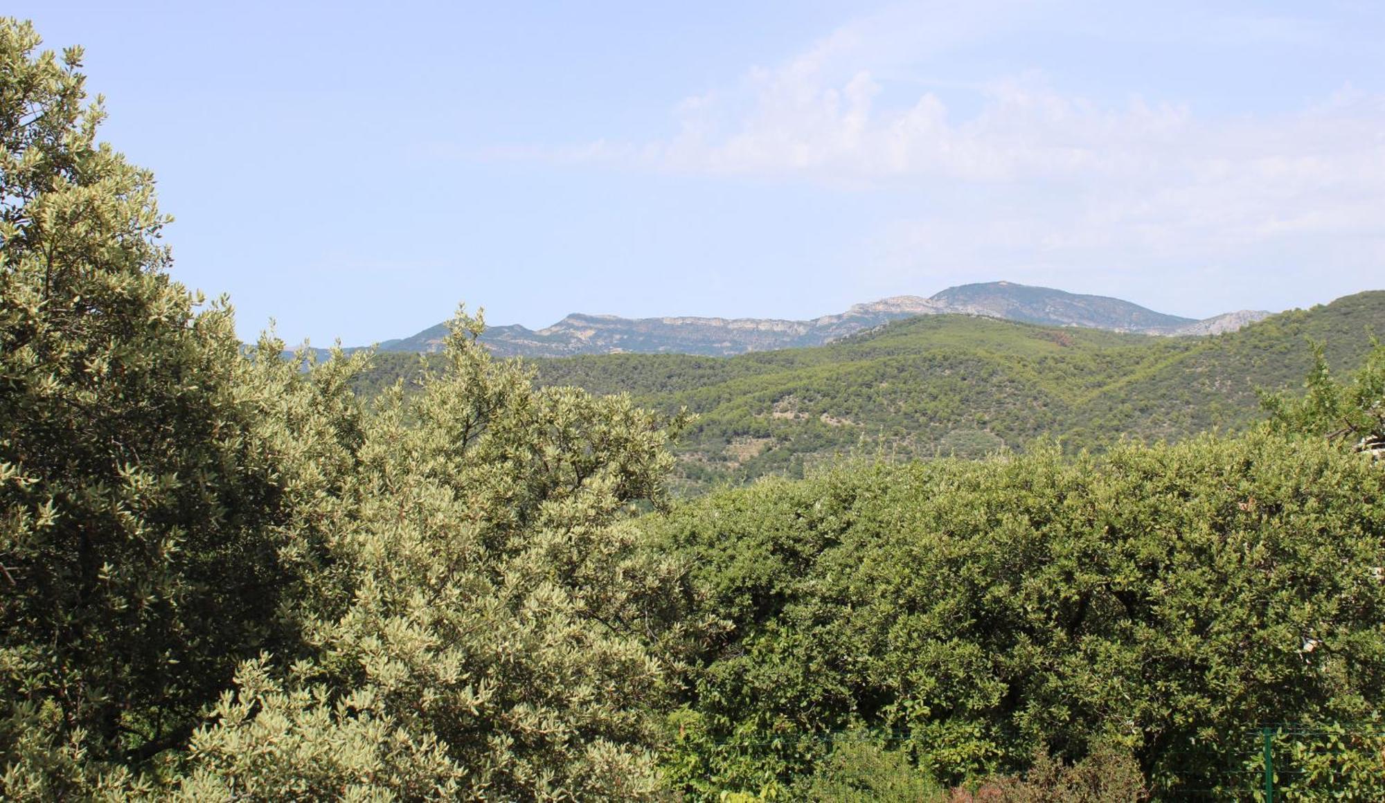 Le Pas Du Ventoux Villa Mollans-sur-Ouvèze Dış mekan fotoğraf